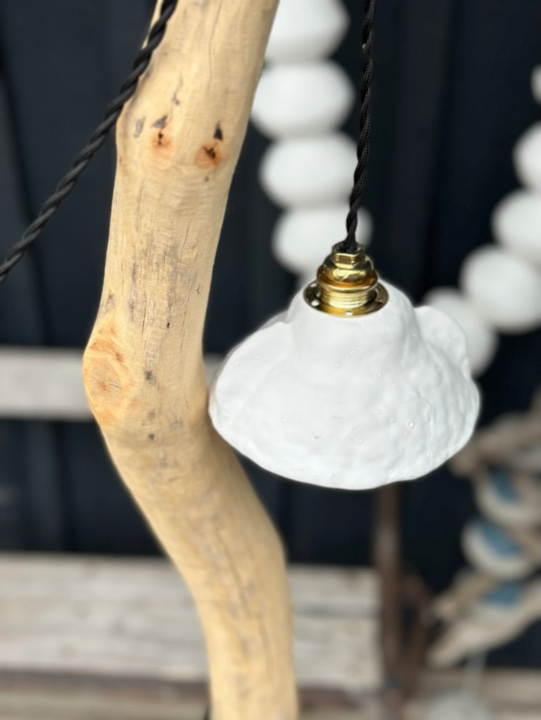 LOUPIOTE SUR BOIS FLOTTE