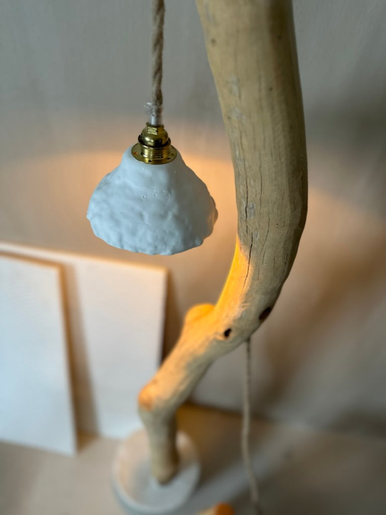 LOUPIOTE SUR BOIS FLOTTE