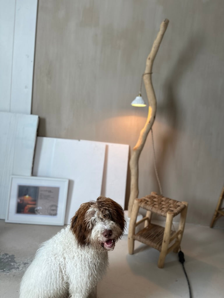 LOUPIOTE SUR BOIS FLOTTE