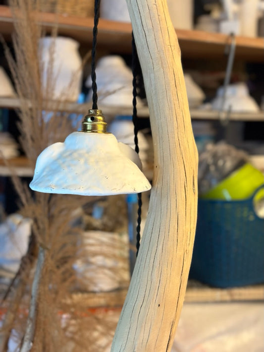 LOUPIOTE SUR BOIS FLOTTE